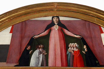 Image showing Madonna patroness