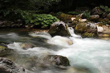 Image showing River