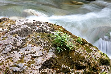 Image showing River