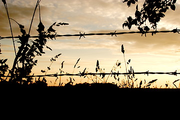 Image showing Dusk barbed wire