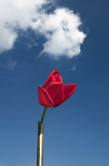 Image showing red flower and sky