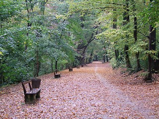 Image showing Autumn in the park