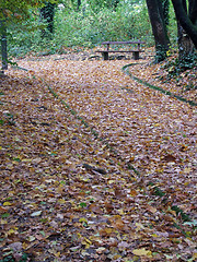 Image showing Autumn in the park