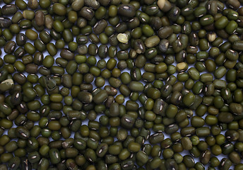 Image showing Mung Beans