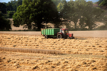 Image showing Tractor pulling trailer in a harvested field