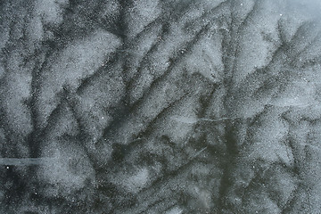 Image showing Abstract frosty pattern on ice