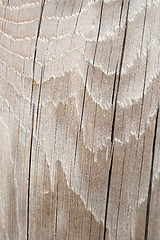 Image showing Wavy cracked wood texture