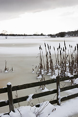 Image showing Frozen lake at Cramlington, Northumberland