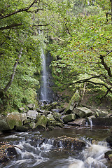 Image showing Waterfall