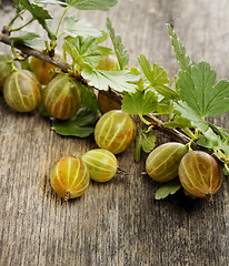 Image showing Gooseberries 