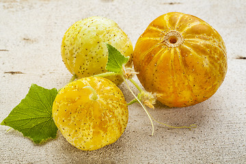 Image showing lemon cucumbers