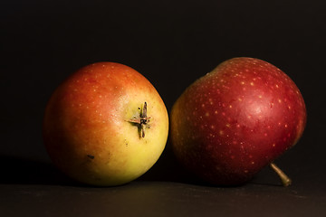 Image showing red apples