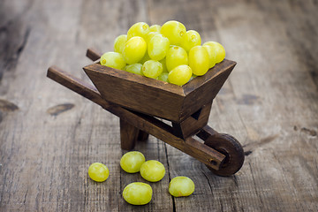 Image showing Fresh Green Grapes in a wheelbarrow