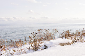 Image showing Winter shore of lake Ontario