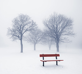 Image showing Winter trees and bench in fog