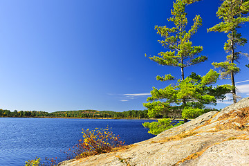 Image showing Lake shore in Ontario, Canada