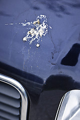 Image showing Bird droppings on car hood