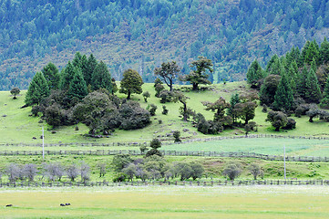 Image showing Landscape in Tibet