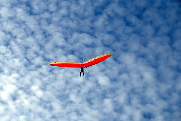 Image showing Glider