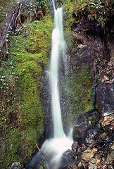 Image showing Waterfall