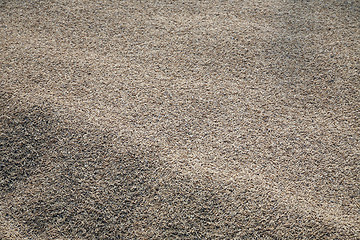 Image showing Harvested rice being dried.