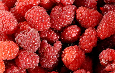 Image showing Raspberry