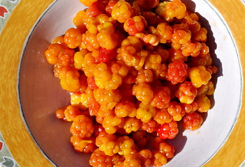 Image showing Cloudberries