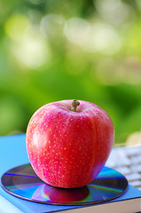 Image showing Red apple and DVD on  books 