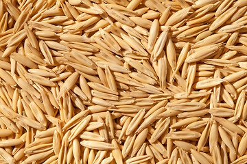 Image showing Unshelled oats