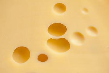 Image showing Texture of cheese