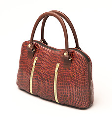 Image showing Crocodile leather handbag isolated