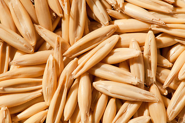 Image showing Whole grain oats