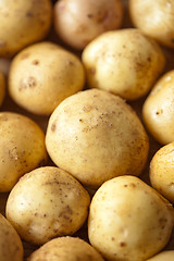 Image showing Fresh potatoes