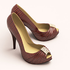 Image showing Crocodile leather women's shoes with high heels