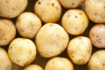 Image showing Fresh potatoes