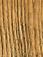 Image showing Texture of wood