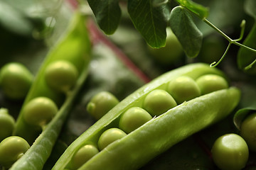 Image showing Green pea pods