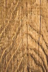 Image showing Texture of wood