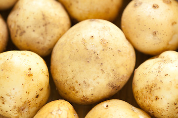 Image showing Fresh potatoes