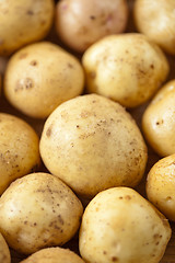 Image showing Fresh potatoes