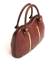 Image showing Crocodile leather handbag isolated