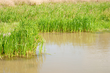 Image showing Natural small pond