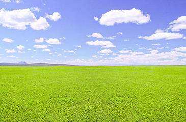 Image showing Green field