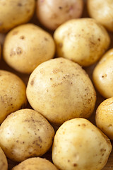 Image showing Fresh potatoes