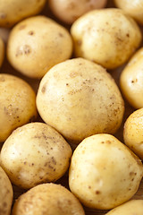 Image showing Fresh potatoes