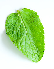 Image showing Fresh mint leaves