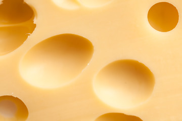 Image showing Maasdam cheese