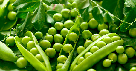 Image showing Green peas in the pod