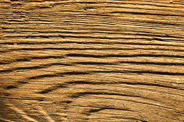 Image showing Texture of wood