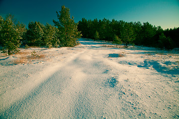 Image showing Winter landscape